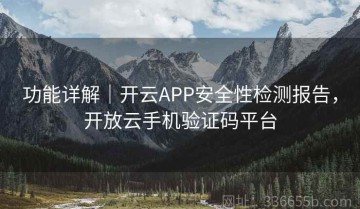 功能详解｜开云APP安全性检测报告，开放云手机验证码平台
