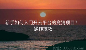 新手如何入门开云平台的竞猜项目？-操作技巧