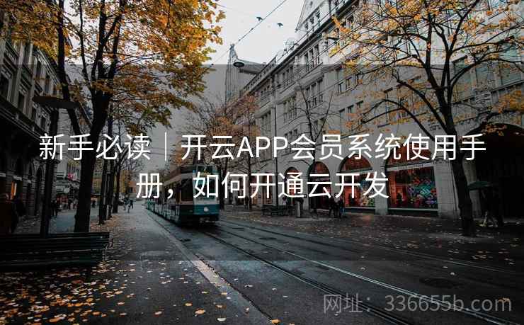 新手必读｜开云APP会员系统使用手册，如何开通云开发