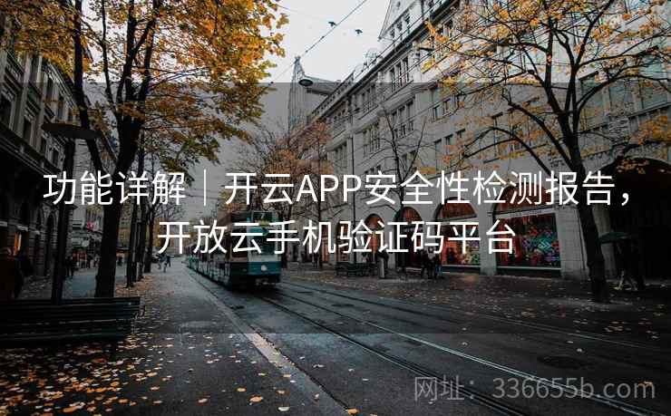 功能详解｜开云APP安全性检测报告，开放云手机验证码平台